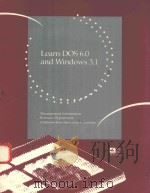 LEARN DOS 6.0 AND WINDOWS 3.1（1994 PDF版）