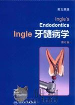 INGLE'S ENDODONTICS INGLE PDF电子版封面 2017 12