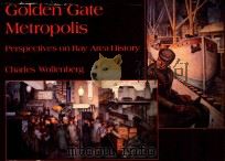 GOLDEN GATE METROPLIS PERSPECTIVES ON BAY AREA HISTORY 1985 PDF电子版封面 087772301X