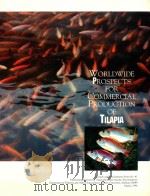 WORLDWIDE PROSPECTS FOR COMMERICAL PRODUCTION OF TILAPIA（1996 PDF版）