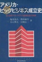 アメリカ·ビッグビジネス成立史: 産業的フロンティアの消滅と寡占体制 1986 PDF电子版封面 4492540040 塩見治人著
