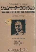 シュムペーターのヴィジョン: 1983 PDF电子版封面 4833750023 A.ヒァチェ編; 西部邁訳