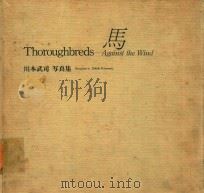 THOROUGHBREDS: AGAINST THE WIND 川本武司写真集 馬   1985  PDF电子版封面     