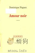 Amour noir: roman 1997 PDF电子版封面 2070750238