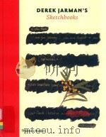 DEREK IARMAN'S SKETCHBOOKS 1986 PDF电子版封面 0500516942