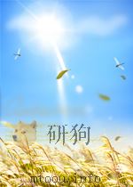 NATIONAL STANDARD OF THE PEOPLE'S REPUBLIC OF CHINA GB 16899-1997 SAFETY RULES FOR THE CONSTRUC 1997 PDF电子版封面