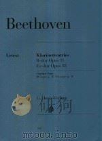 KLARINETTENTRIOS B-DUR OPUS 11 ES-DUR OPUS 38 CLARINET TRIOS BB MAJOR OP.11 EB MAJOR OP.38 VIOLINE V（ PDF版）