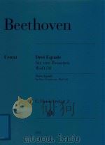 DREI EQUALE FUR VIER POSAUNEN WOO 30 THREE EQUALI FOR FOUR TROMBONES WOO 30 POSAUNE Ⅰ Ⅱ Ⅲ PDF电子版封面