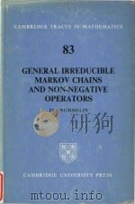 General irreducible Markov chains and non-negative operators（1984 PDF版）