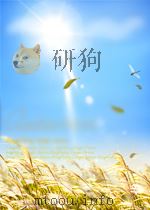 释迦牟尼佛略史 PDF电子版封面