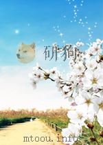 建筑外墙外保温施工工艺标准 PDF电子版封面