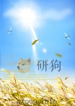 中华人民共和国国家标准 GB/T17272.2-1998 idt ISO9711-2:1990 集装箱在船舶上的信息 电传数据代码=Information Related To Contai PDF电子版封面 国家技术监督局