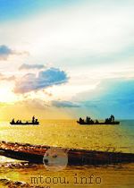 中华人民共和国国家标准  GB/T 21916-2008  水果罐头中合成着色剂的测定  高效液相色谱法=DETERMINATION OF SYNTHETIC COLOUR IN FRUIT TINS     PDF电子版封面     