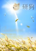 中华人民共和国国家标准 GB/T 19904-2005 医用氧舱用电化学式测氧仪=Electrochemical oxygenmeter for medical hyperbaric oxygen PDF电子版封面