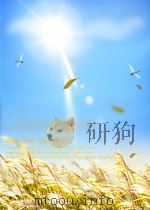 中华人民共和国国家标准 GB/T22124.1-2008 面向装备制造业产品全生命周期工艺知识第1部分:通用制造工艺分类 PDF电子版封面