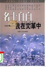 名士自白-我在文革中  下（1999 PDF版）