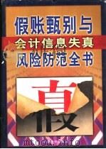 假帐甄别与会计信息失真风险防范全书  中（1999 PDF版）