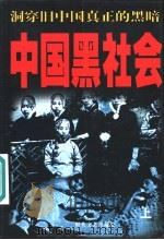 中国黑社会  下（1998 PDF版）