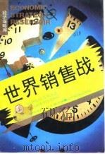 世界销售战 下 PDF电子版封面 7805273472 张维柯,王文超
