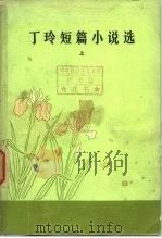 丁玲短篇小说选  下   1981  PDF电子版封面  10019·3072  丁玲 