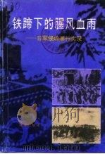 海南文史资料  第11辑  铁蹄下的腥风血雨：日军侵琼暴行实录  下（1995 PDF版）