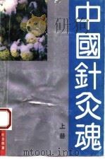 中国针灸魂  下（1993 PDF版）