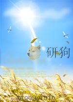 湘乡曾氏文献 7 1965 PDF电子版封面 曾国藩等
