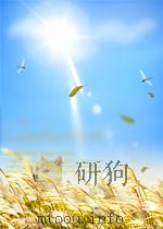 明清未刊稿汇编  张介侯所著书  第9册（1976 PDF版）