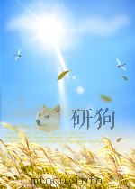 传统农区的乡级政权组织——贵州省平塘县乡干部抽样调查报告 P84 PDF电子版封面