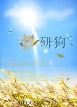 哥德巴赫猜想与优化筛法 PDF电子版封面