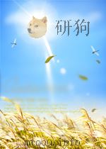 2007年考研数学历年真题精析(数学二) PDF电子版封面