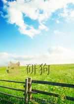 中国共产党革命英烈大典  海南省     PDF电子版封面    中共中央史研究室科研管理部编 