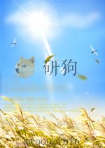 通过阅读学词汇四级篇（第二版）     PDF电子版封面    李寄 