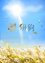 景观植物造园应用实例（续编1）（1999年2月第1版 PDF版）