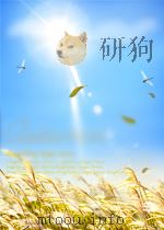 冶金重点大中型企业财务年报汇编  2005     PDF电子版封面    戚向东 