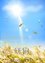 广西企业思想政治工作人员高中级专业职务任职资格名录（1992 PDF版）