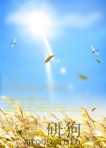 黄冈名师点拨 物理 八年级 上 配沪科版 PDF电子版封面 本书编写组