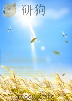 满天星 四年级 上 英语能力测试 N版 PDF电子版封面 小学英语能力测试编写组