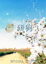 中国近世民间信仰:宋元明清 PDF电子版封面