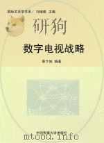 数字电视战略 PDF电子版封面