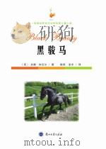 黑骏马 PDF电子版封面