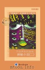 不动声色的游戏 神秘小说 2 PDF电子版封面