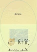 菩提烟魂 PDF电子版封面