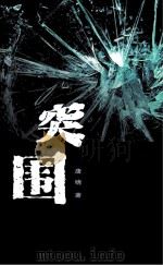 突围 PDF电子版封面