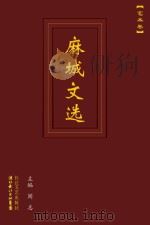麻城文选 艺术卷 PDF电子版封面 阎志主编