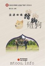 泾源县非物质文化遗产保护工程丛书 泾源回族踏脚 PDF电子版封面
