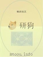 精湛技艺     PDF电子版封面     