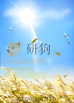 小岛经济学 PDF电子版封面 (美)彼得·希夫